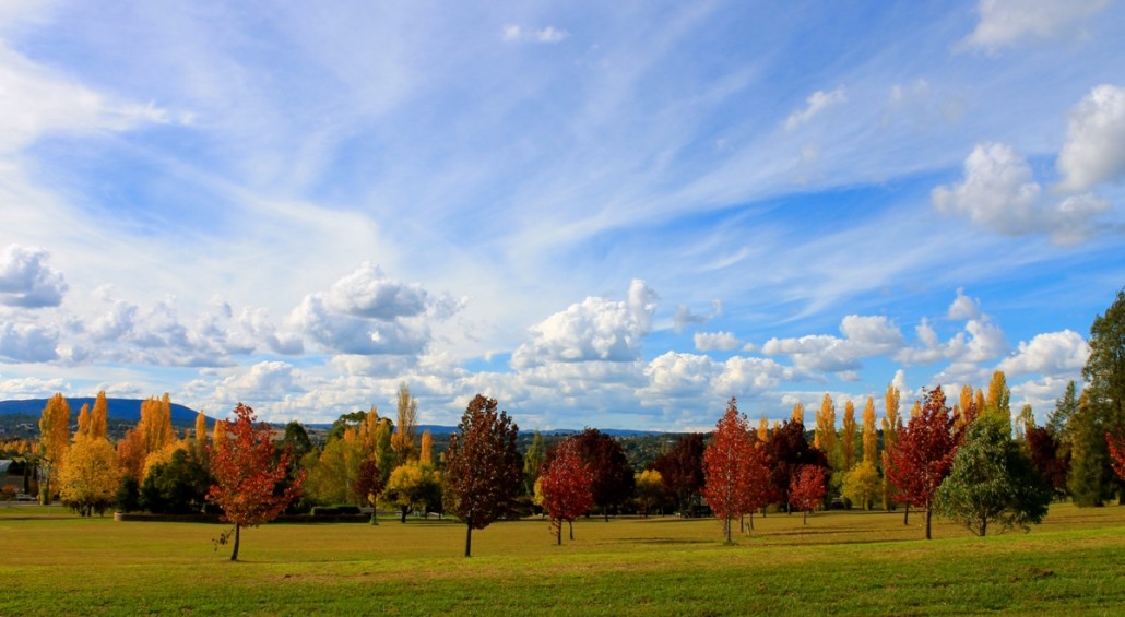 Autumn
