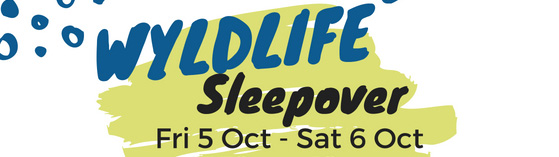 Sleepover_Banner